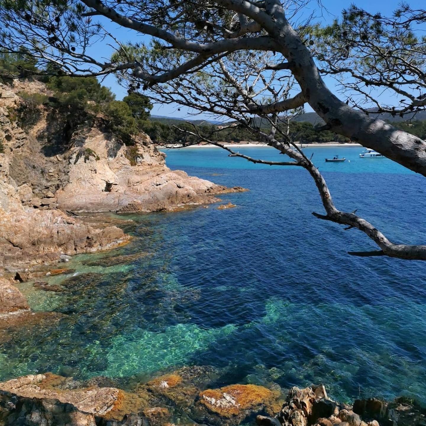 Studio A Hyeres Port - Proche De Toutes Commodites Bagian luar foto